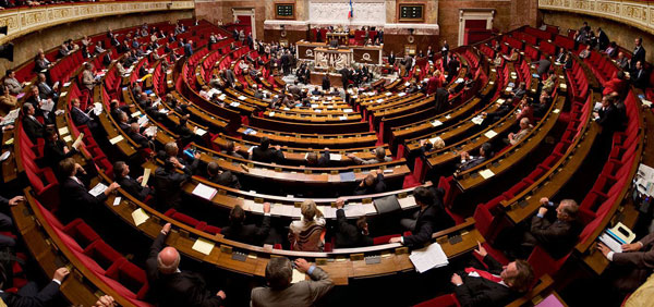 Loi alimentation : les animaux à nouveau écartés des débats